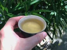 Tie guan yin Monkey pick z Anxi v čínském Fujianu - slavný oolong Železná bohyně milosrdenství - detail nálevu