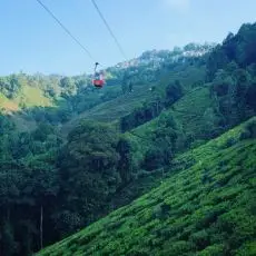 Darjeeling Puttabong Tukvar - lanovka v čajové zahradě do Darjeelingu