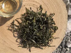 Darjeeling Balasun first flush 2026 - EX 16 - raritní čaj z Darjeelingu z jarní sklizně - detail čajových lístků