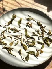 Darjeeling Balasun first flush 2026 - EX 16 - raritní čaj z Darjeelingu z jarní sklizně - detail mokrých čajových lístků