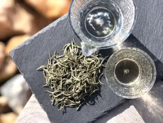 Assam frost silver needle - sklizeň leden 2026 - luxusní sypaný bílý čaj pouze s tipsů