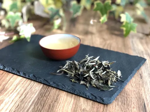 Yunnan Moonlight
