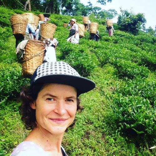 Darjeeling Phuguri EX-01/26