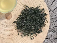 Gu Zhang Mao Jian - prémiový kvalitní sypaný činský zelený čaj z oblasti Hunan - detail suchých čajových lístků shora
