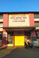 čajová továrna Puttabong Tukvar v Darjeelingu a její rekord z roku 1992