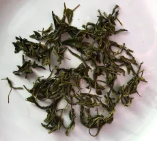 Fish hook - Tan Cuong - Thai Nguen - prémiový zelený čaj z Vietnamu - detail mokrého listu