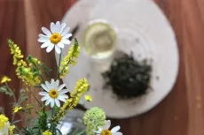 Sencha z Číny - China Sencha - kvalitní sypaný čínský zelený čaj