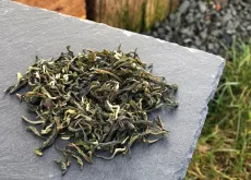 Darjeeling Phuguri first flush ex-01 2026 - detail čajových lístků - raritní čaj