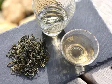 Darjeeling Phuguri first flush ex-01 2026 - raritní čaj - detail čajových lístků