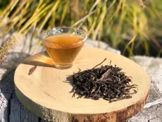Raw wild pu erh Chiang Rai - kvalitní nezralý sypaný pu erh z divokých čajovníků ze severu Thajska
